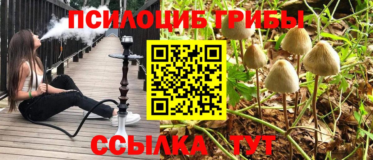 Псилоцибиновые грибы GOLDEN TEACHER  наркошоп  Севастополь  Вход с VPN  Псилоцибиновые грибы ЛСД 