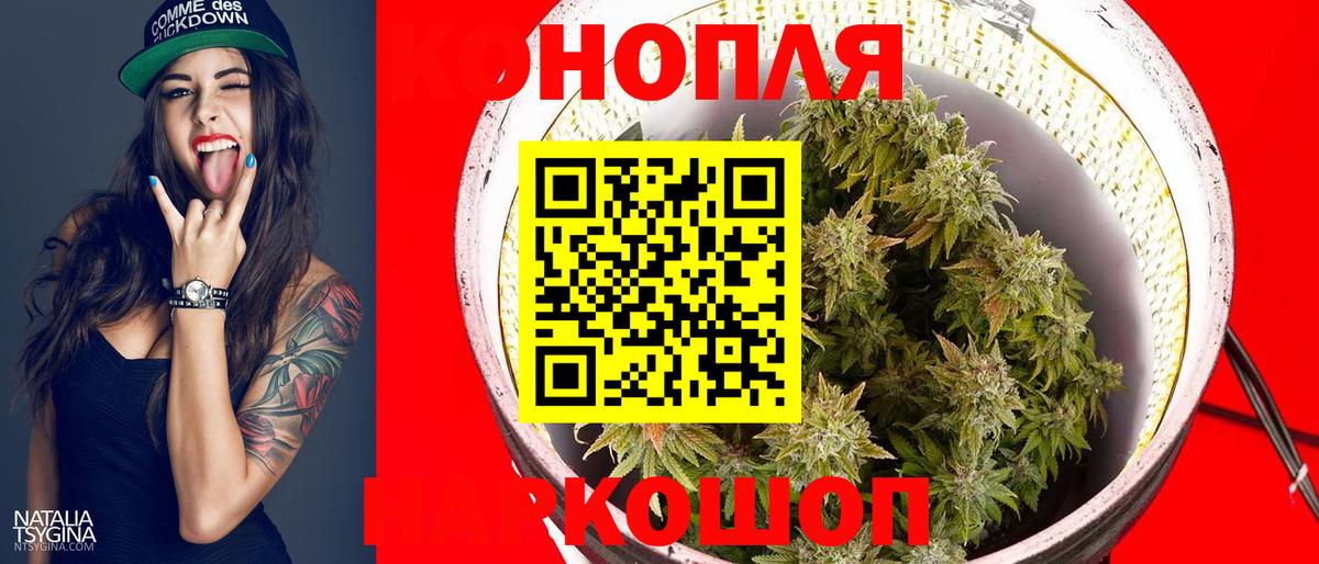 Бошки Шишки THC 21%  Бошки Шишки Bruce Banner  Марихуана THC 21%  Вход с VPN  Севастополь 